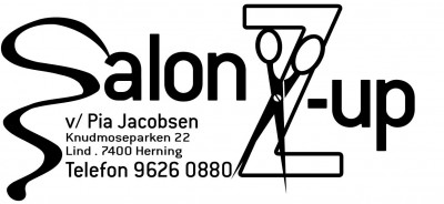 Salon Z-up