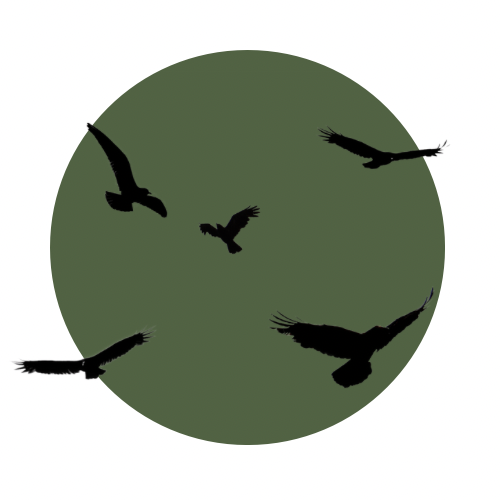 C.lykken • Camilla Lykke Nielsen 