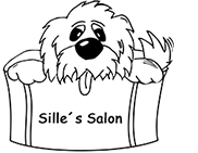 Sille`s Salon